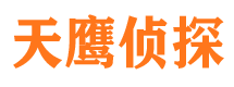 偃师寻人公司